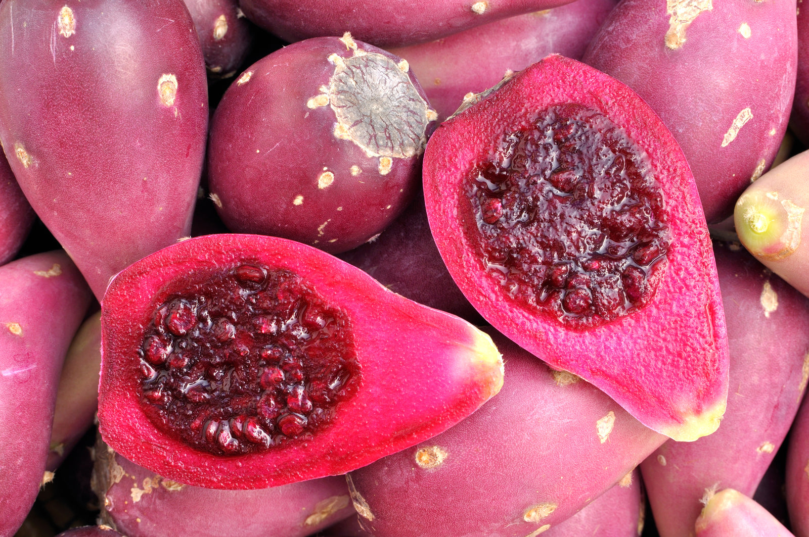 prickly pear fruit